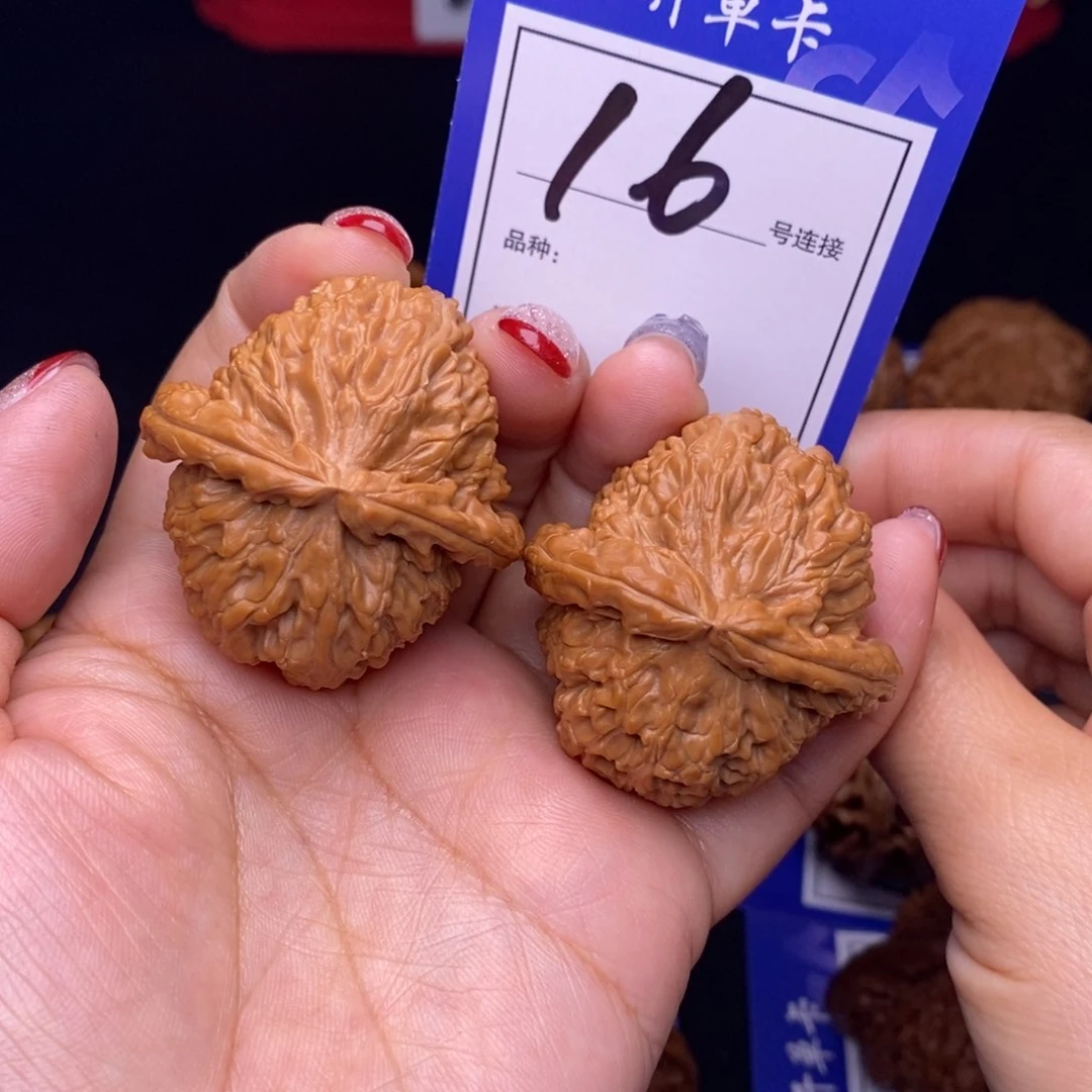 16号链接白狮子4.0尺全品