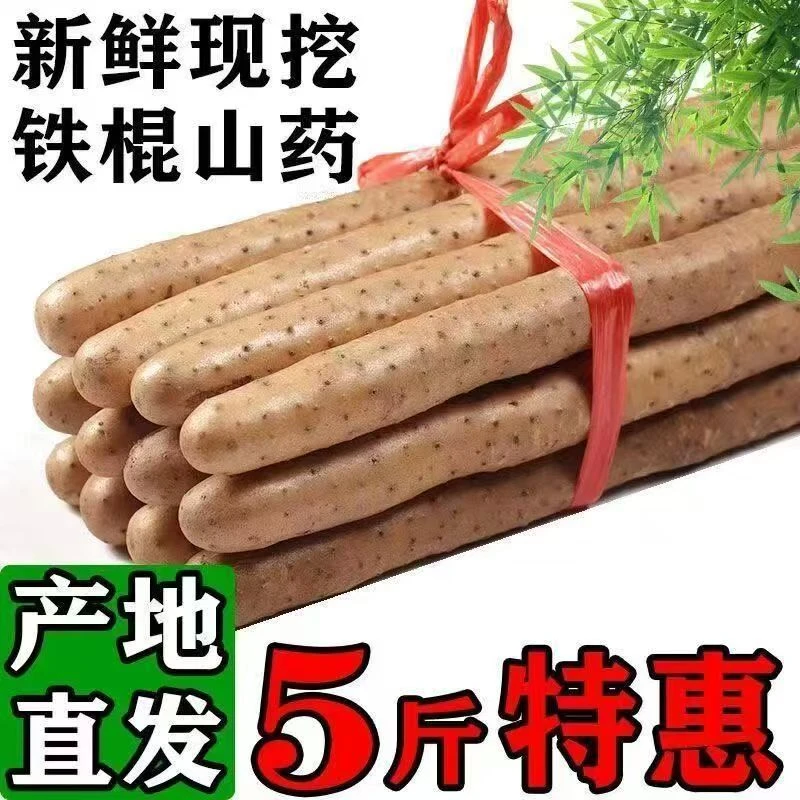 【带箱5斤】当季新鲜铁棍山药原产地直销坏果包赔铁棍