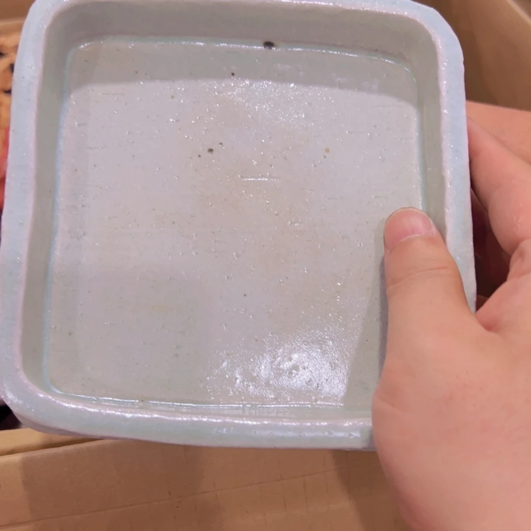 豹*谢谢你的关心和支持