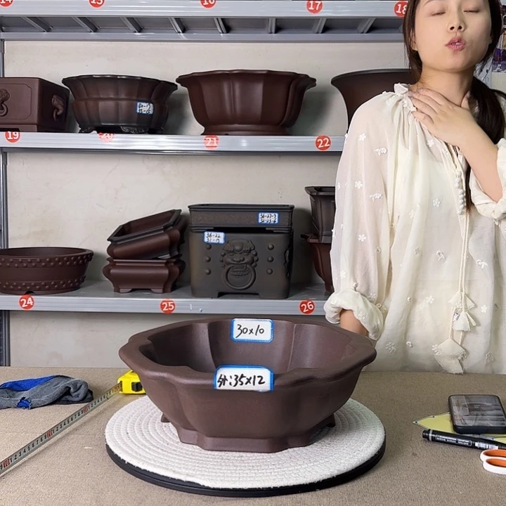 紫砂花盆紫砂花开