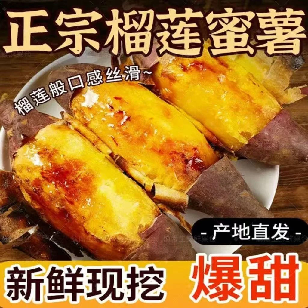 正宗云南高山榴莲蜜薯沙地现挖丝滑软糯爆甜流蜜