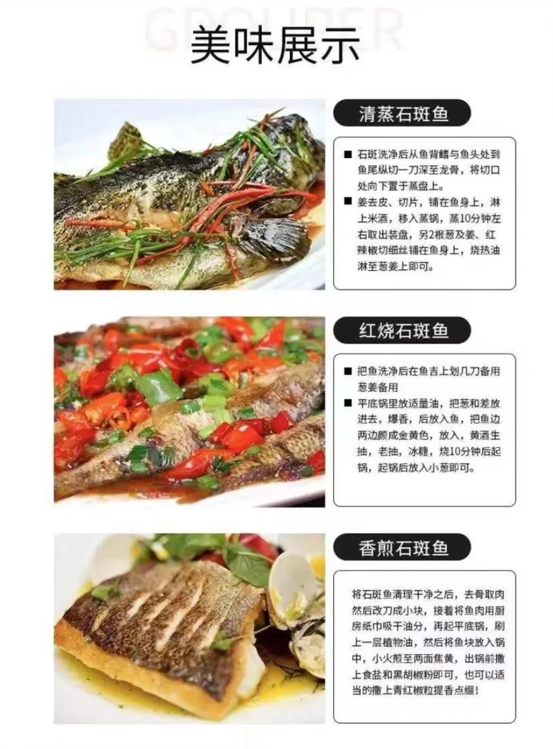 旋温州东海海鱼海鲜速冻净重9斤