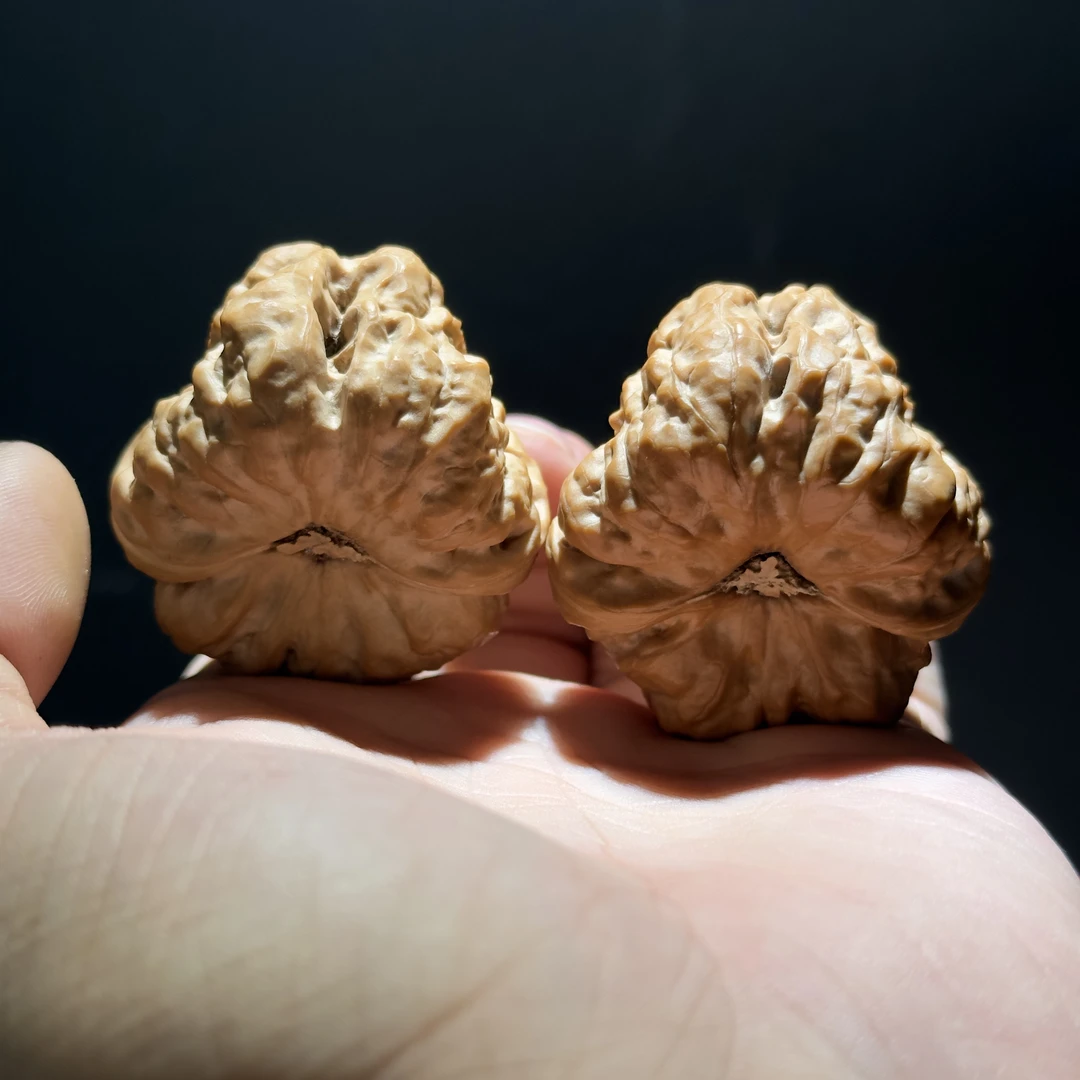 精品蛤蟆头 尺寸可选