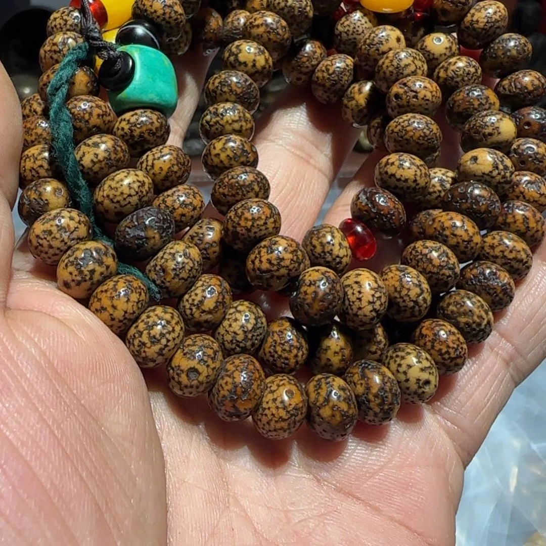 老老老老老老老老老