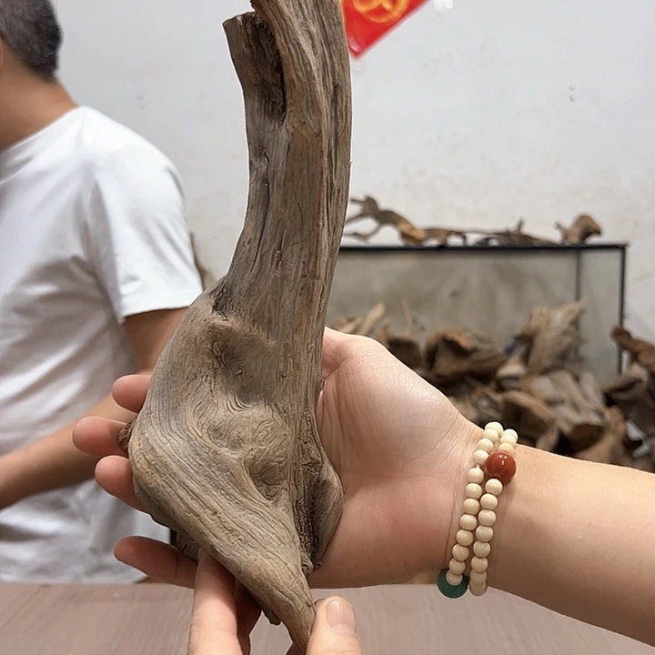 柏木中**，我们都是好孩子呀我也是想