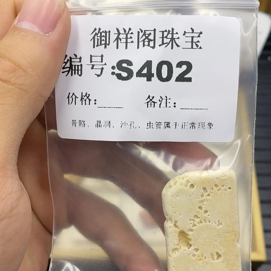 硅化珊瑚（珊瑚玉）未镶嵌颈饰O****g