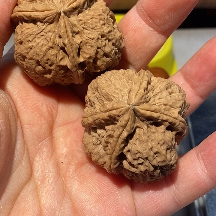 文玩核桃把件6）hhghhhhhh