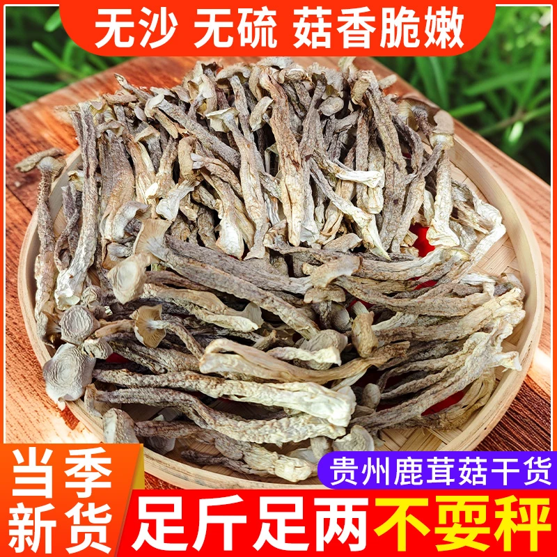 鹿茸菇干货新货无硫贵州高山菌菇煲汤营养食用菌香浓郁当季新货