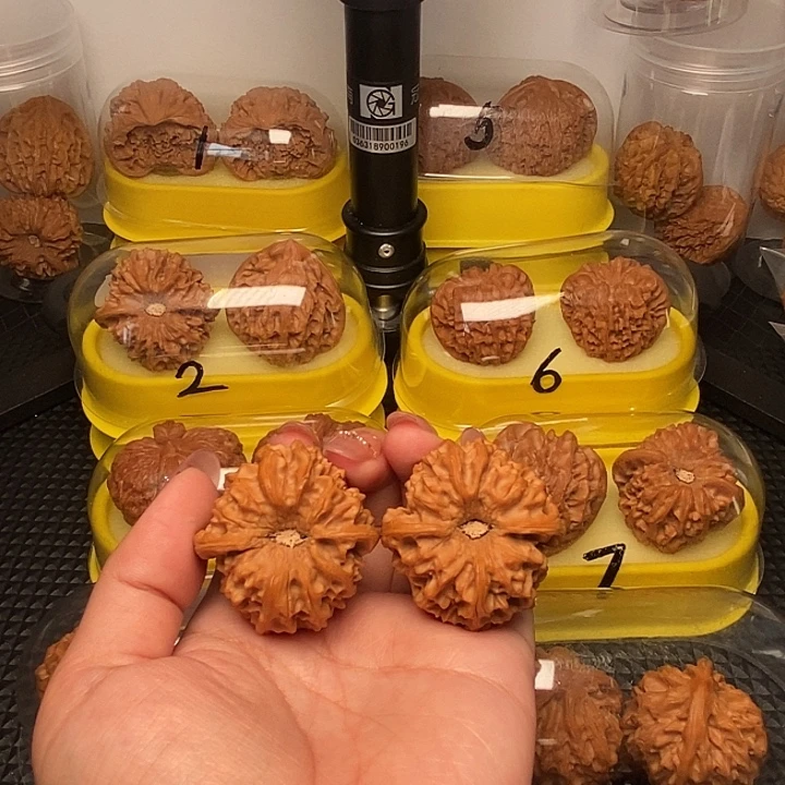 小***周40巨凹龙门