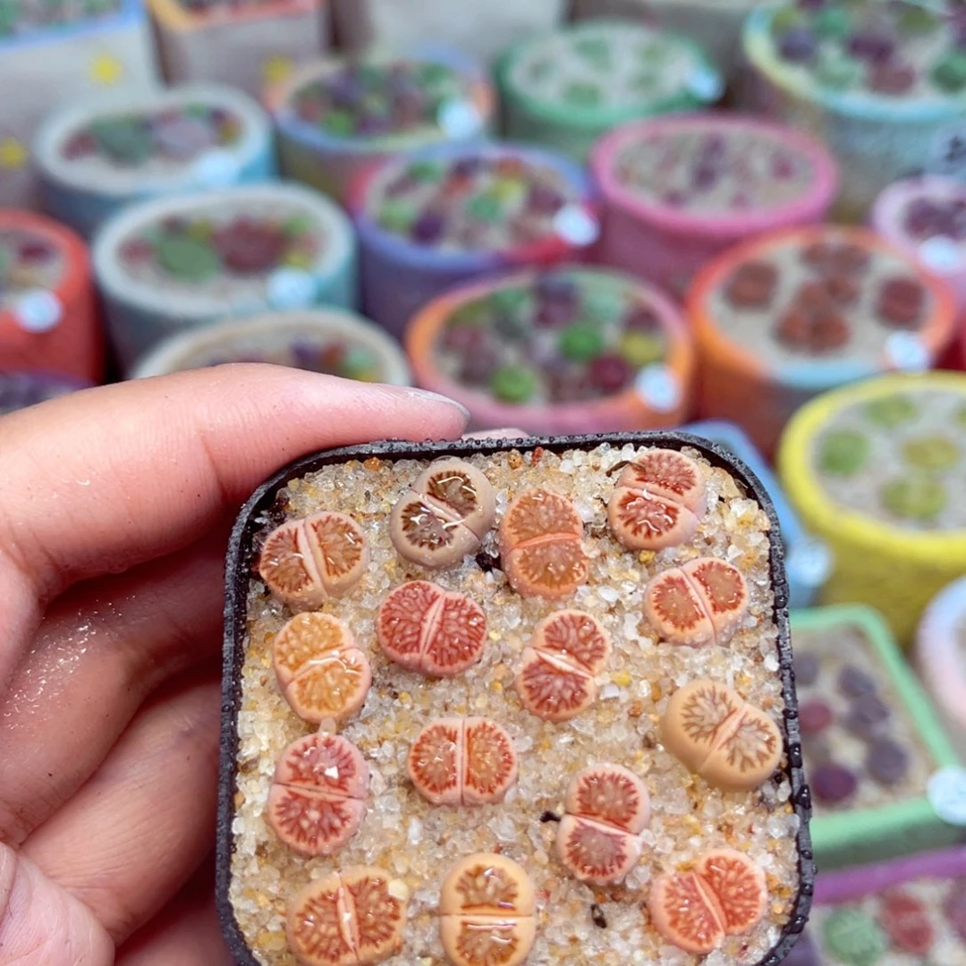 158。88888888888888888