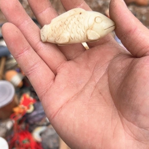 杂色豆（科檀/科特迪瓦檀木）宝**了