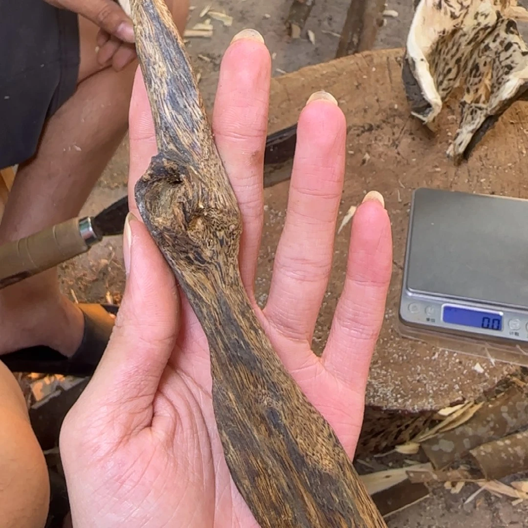 沉香虫漏原料发一份