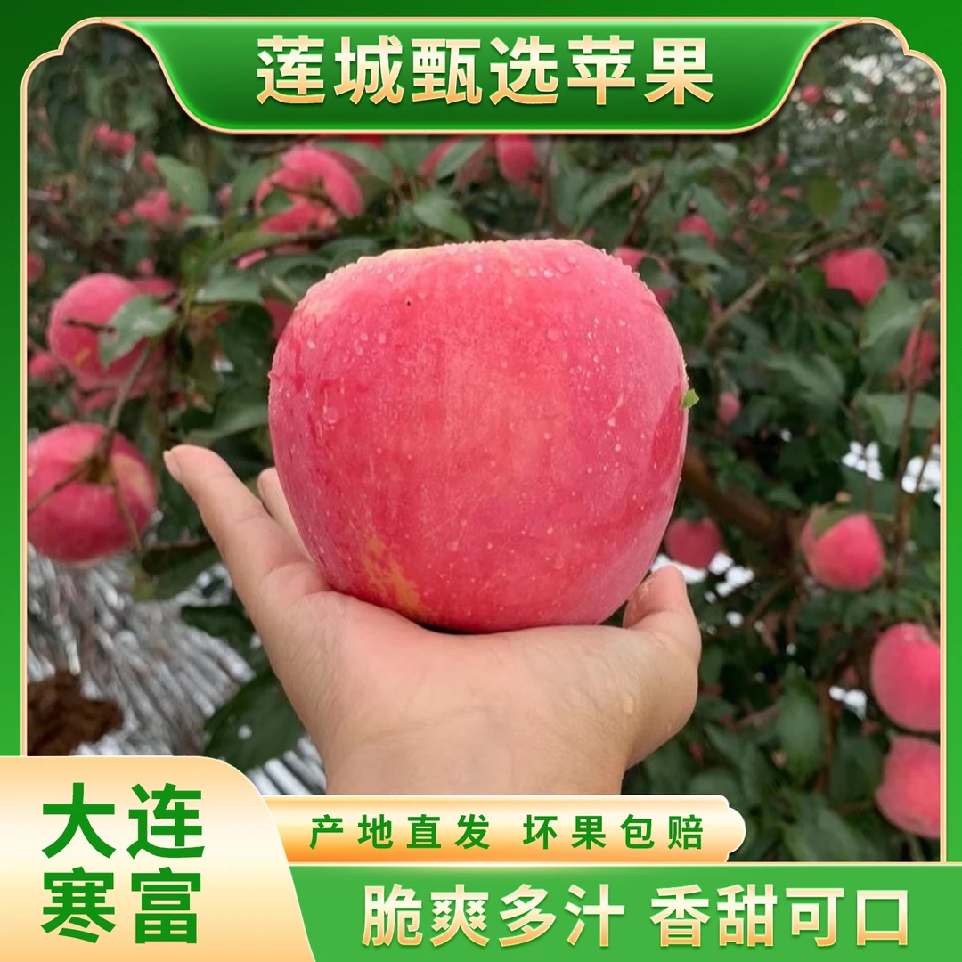 【莲城甄选】助农大连寒富苹果脆甜多汁5斤(果园现摘现发)
