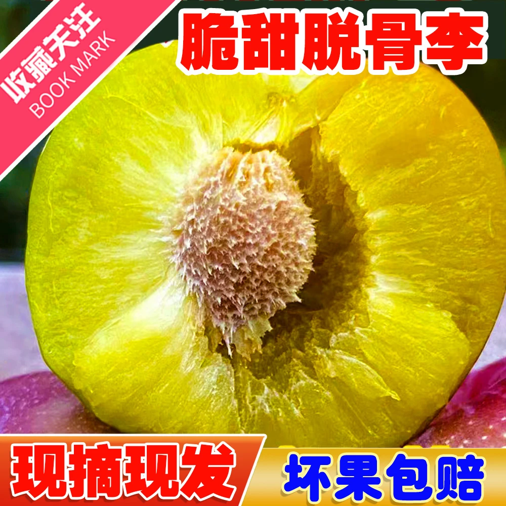 【顺丰快递】四川正宗新鲜脱骨李半边红茵红李3斤/4.5斤新鲜