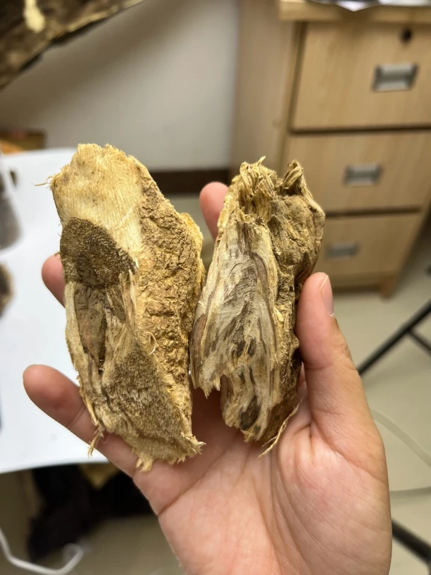 大山野料树根小精品摆件