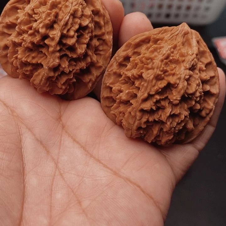 核桃百花山44尺核桃