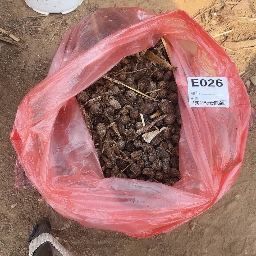 026羊粪多肉植物有机肥