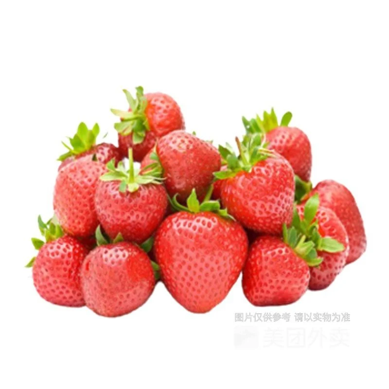 【香甜可口】西昌隋珠草莓500g