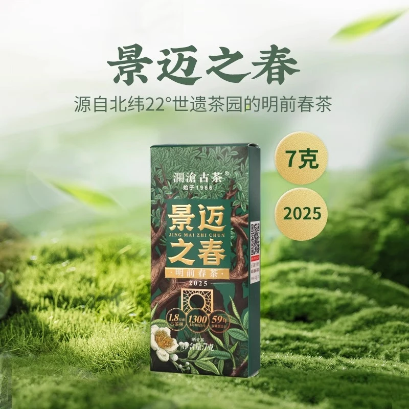 【春茶新品】澜沧古茶2025年景迈之春茶云南普洱生茶叶试喝品鉴7g