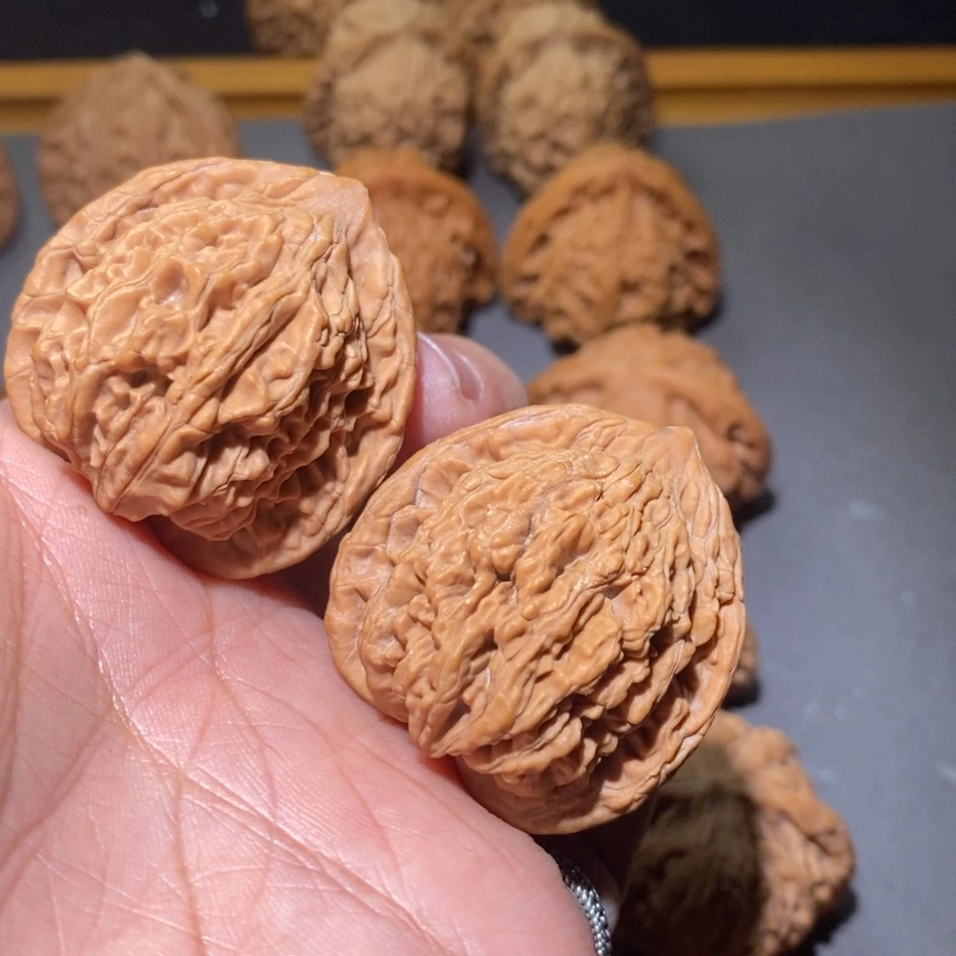 木质37山西虎头全品