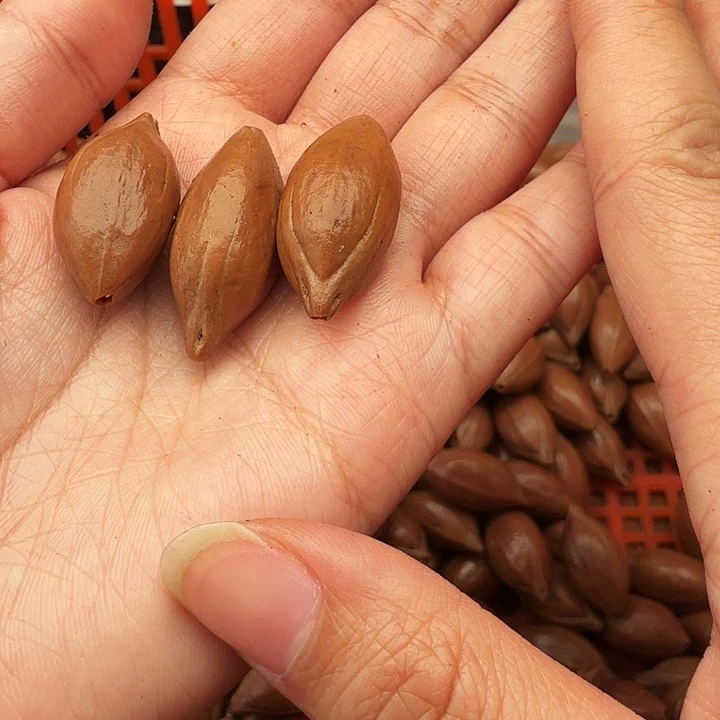 沉***言手串/手链橄榄核橄榄