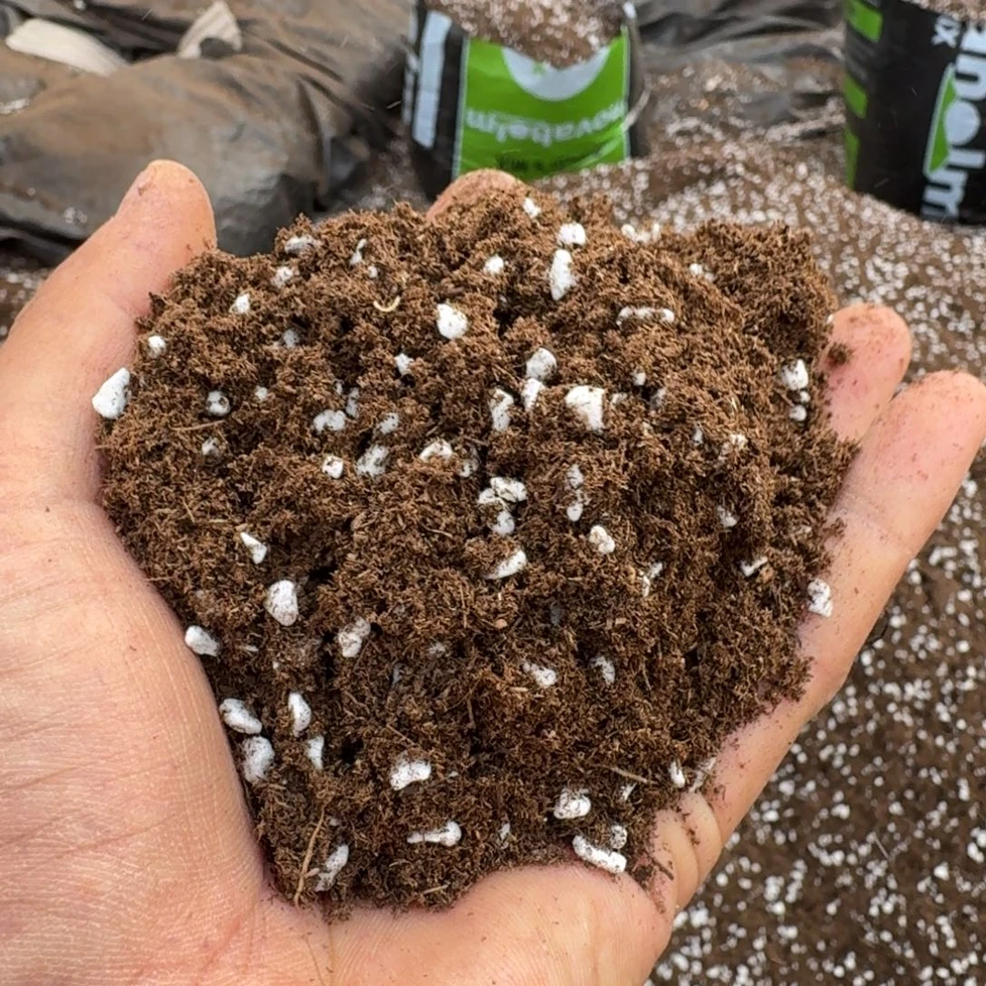 带珍珠盐进口土10l量拍
