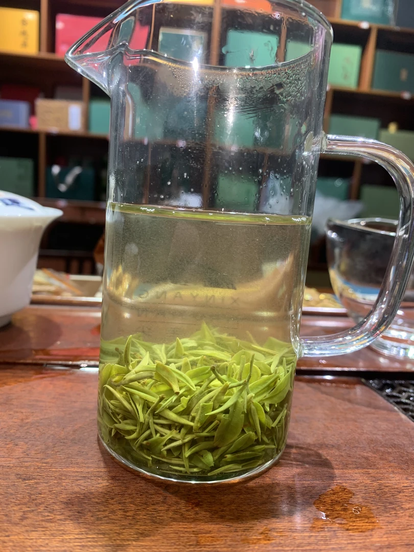 【限量】信阳毛尖 早春福利款  回甘持久