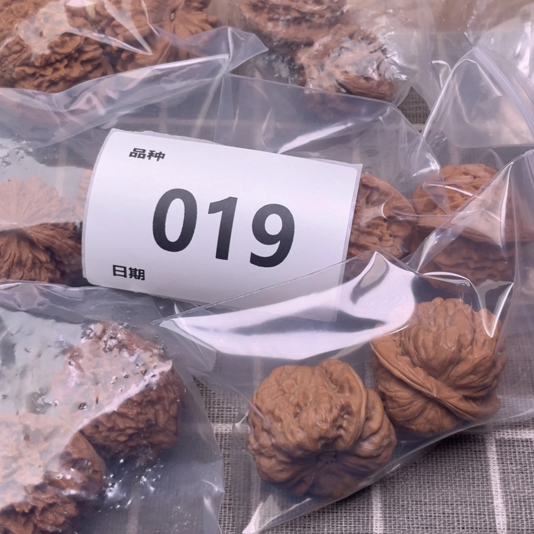 把件文玩核桃19号6对带练手蛙