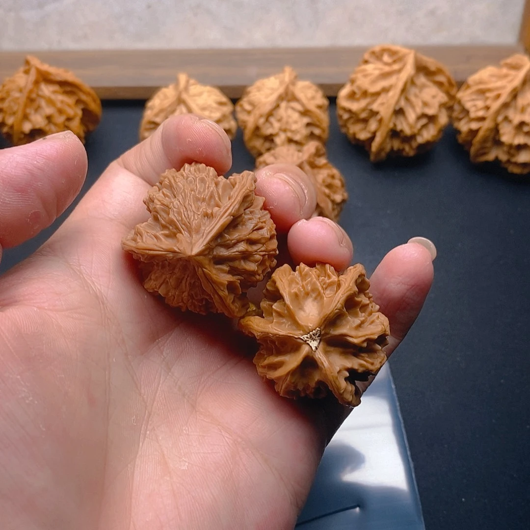 温***药核桃盘山三棱380全品