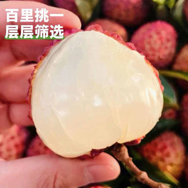 【冷链速发】福建正宗纯小核无核蜜丁香荔枝产地直发当季新鲜