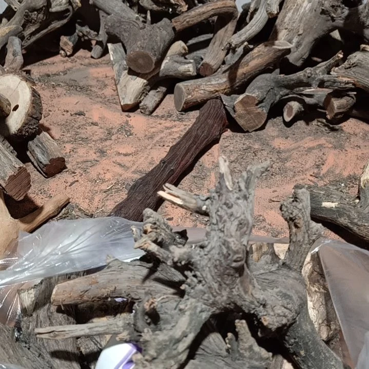 杀****丑崖柏随行毛料崖柏