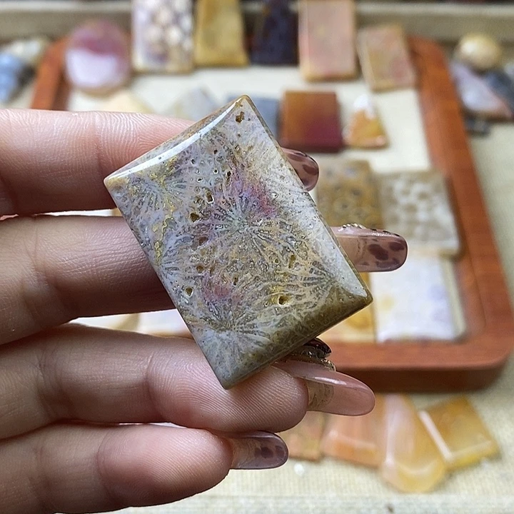 硅化珊瑚（珊瑚玉）未镶嵌颈饰