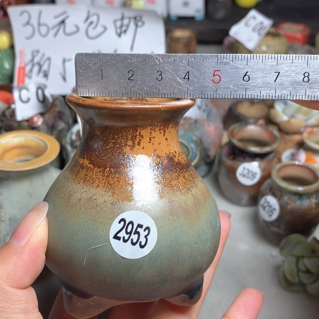 拍5送一个小礼物