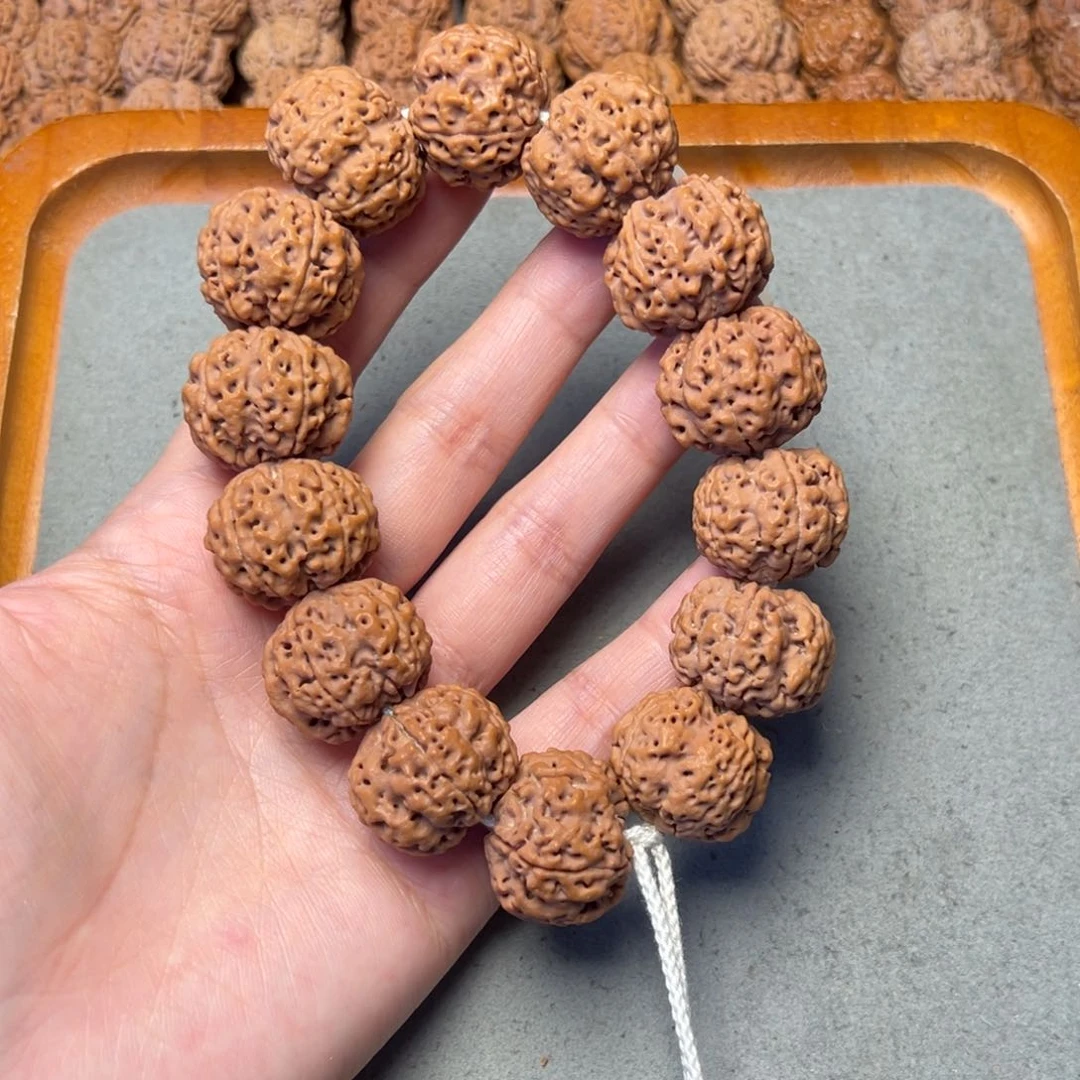 菩提2号金刚菩提安娜梅花23