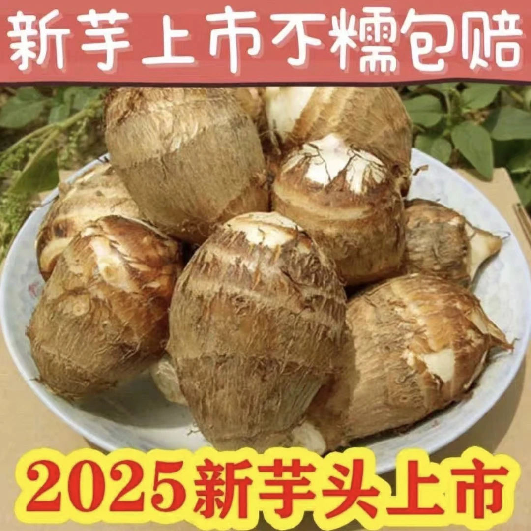 湖南湘西大山新鲜现挖牛奶芋头粉面香糯农家自种