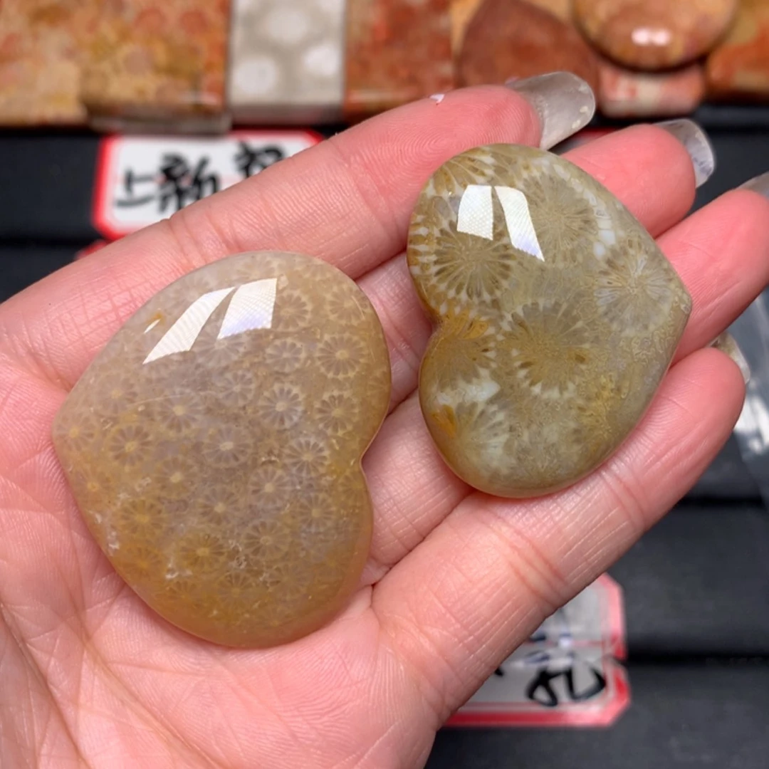 【闪购商品】硅化玉颈饰未镶嵌?***风