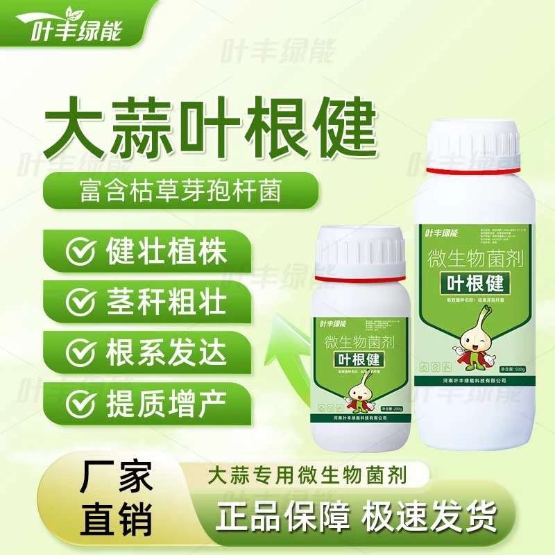 叶根健大蒜专用肥料水溶肥枯草芽孢杆菌增产生根壮苗促苔膨大种植