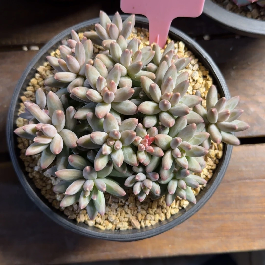 邓***涵1111111111111111111