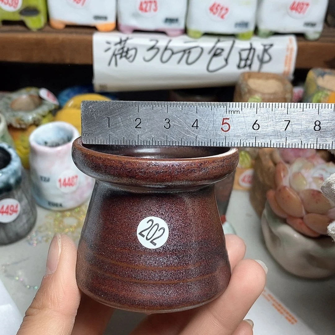 红陶拍5送一个小