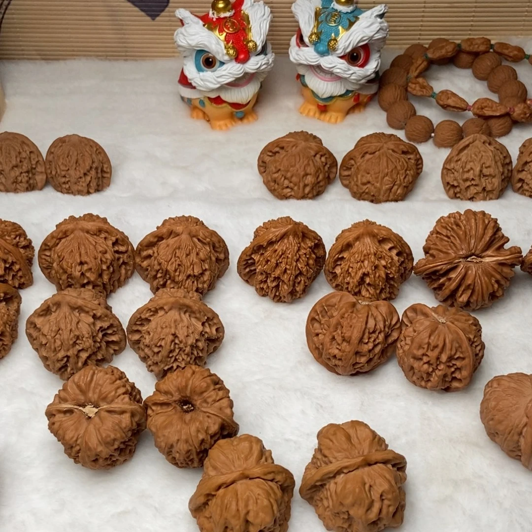 平***活大叶紫檀（黑酸枝木类）招财树