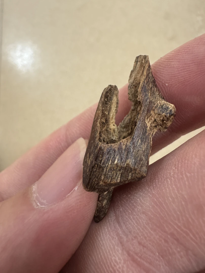 0.85克海南沉水纽结