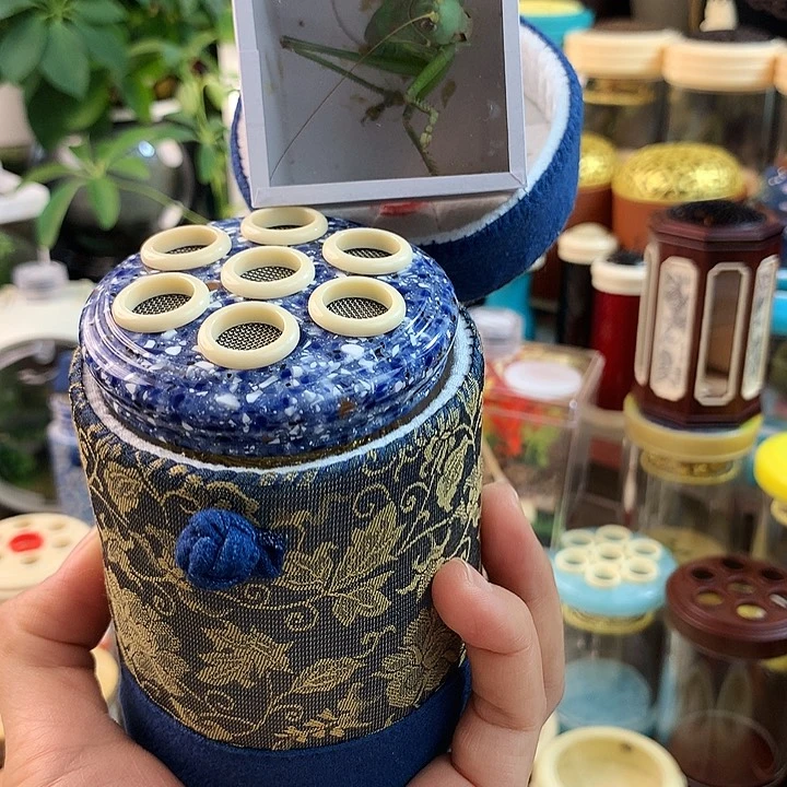 带布套带绿蝈蝈啊啊啊