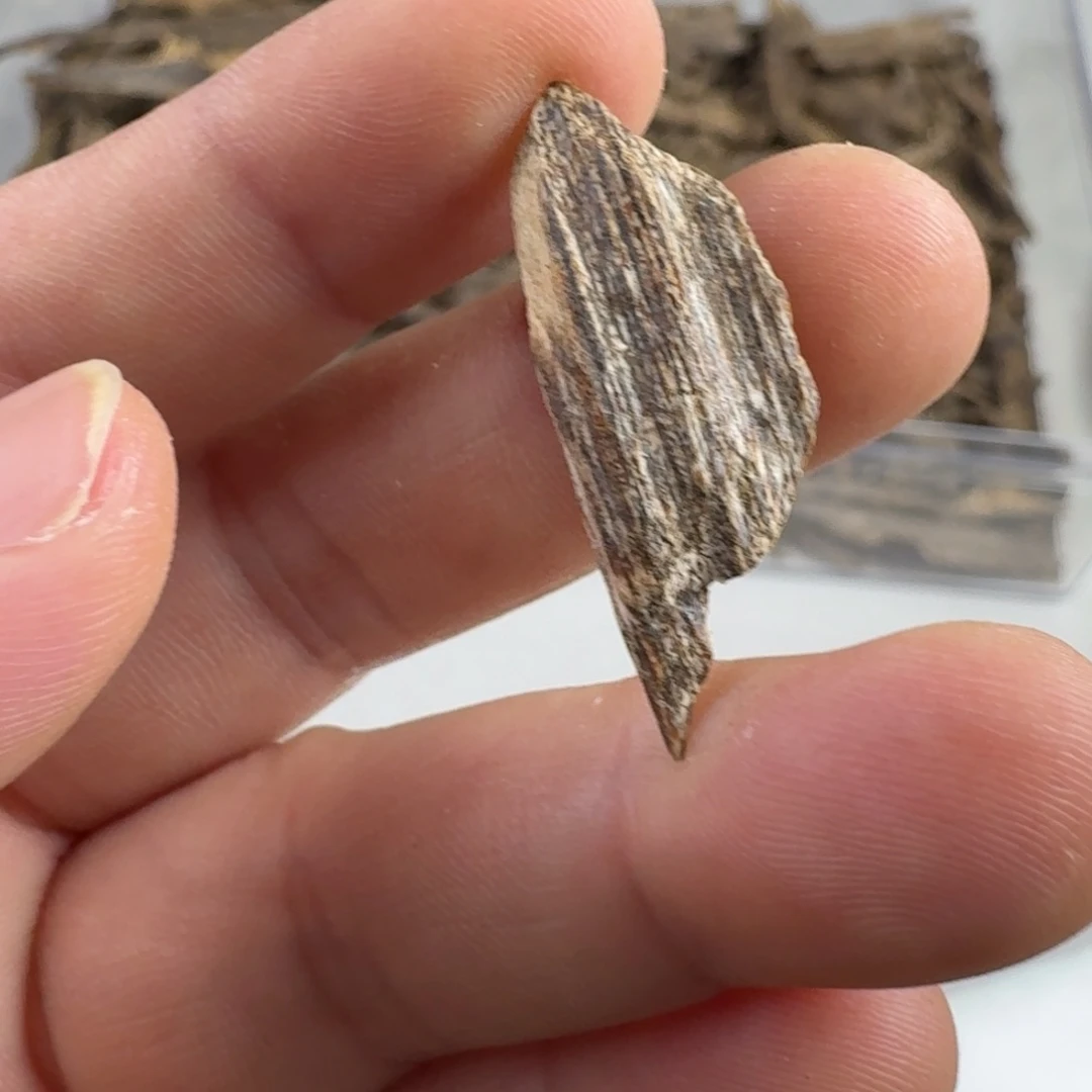 沉香沉香碎屑瓜子