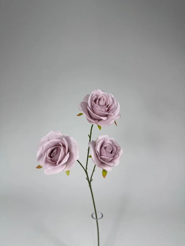 三头保加利亚大玫瑰10枝，颜色联系客服备注