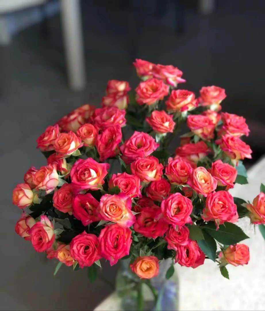 【爱丽丝泡泡】拍两单升级顺丰/德邦空运鲜花直播间现场直播卖花