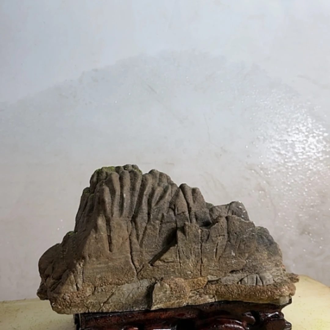 【闪购商品】香榧木炎*在这方面真的不一样