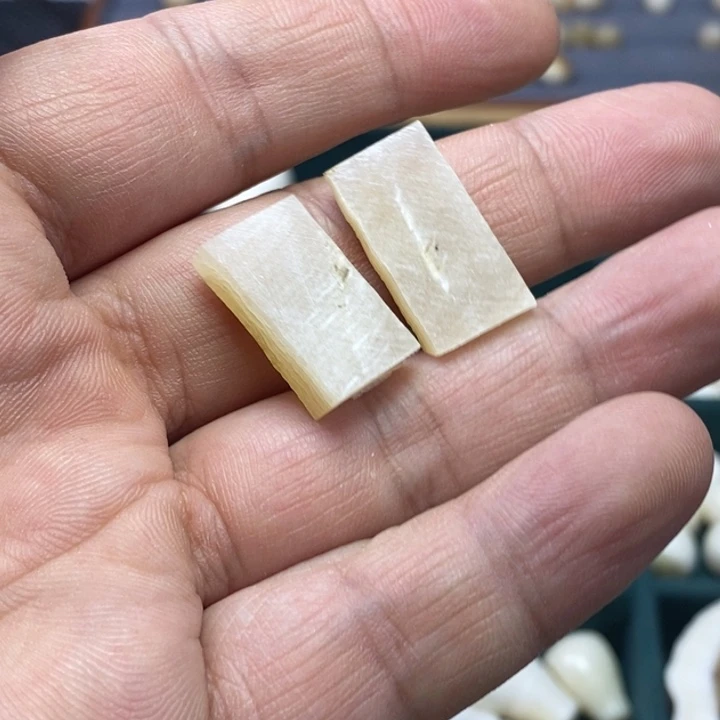 手串/手链/手镯猛犸象牙