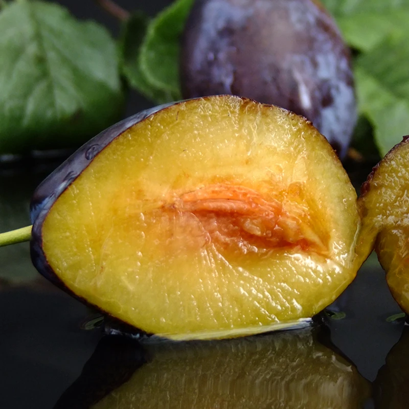 甘肃法兰西西梅鲜果3斤新鲜水果当季整箱应季蓝蜜大西梅时令礼盒