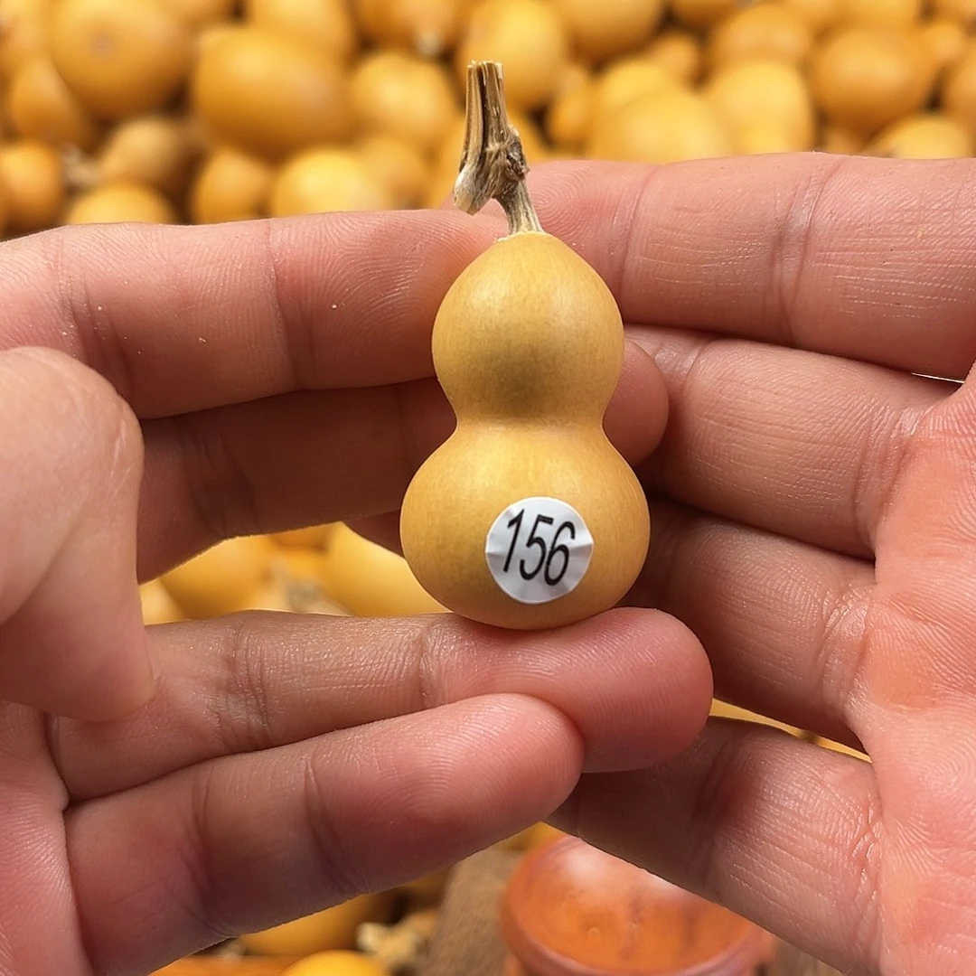 一葫芦葫芦葫芦葫芦156