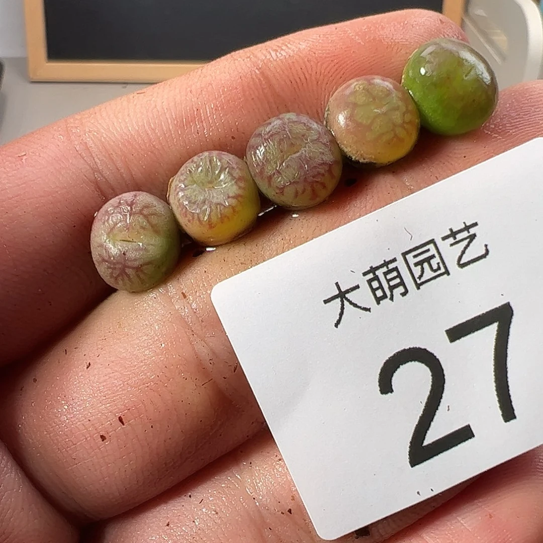 000027 一物一拍……